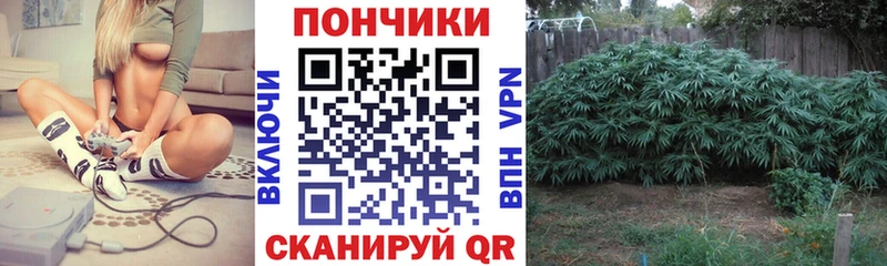 что такое   Кудрово  МАРИХУАНА OG Kush 